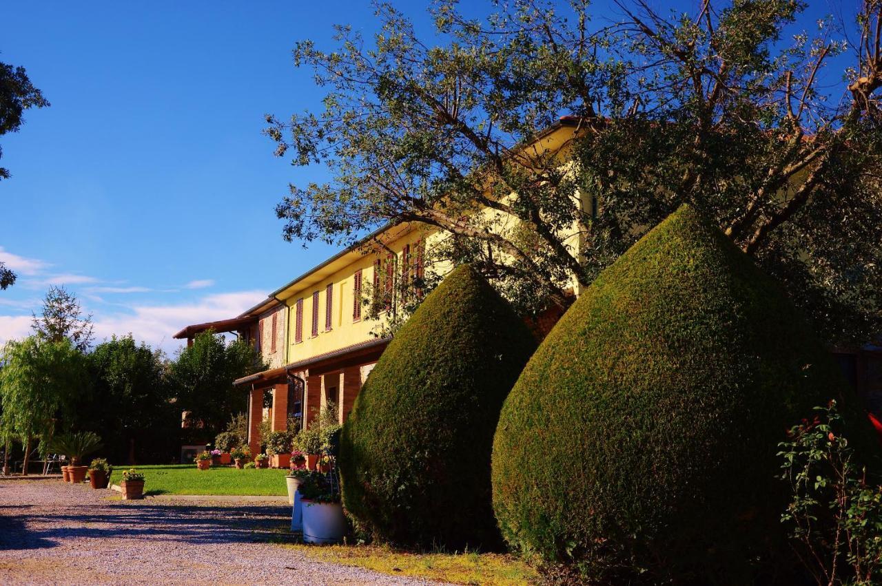 Agriturismo Il Cuscino Nel Pagliaio Кампилия Маритима Екстериор снимка