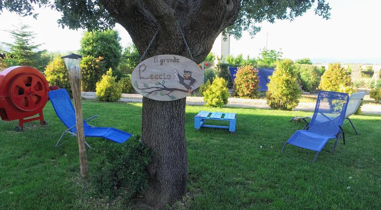 Agriturismo Il Cuscino Nel Pagliaio Кампилия Маритима Екстериор снимка