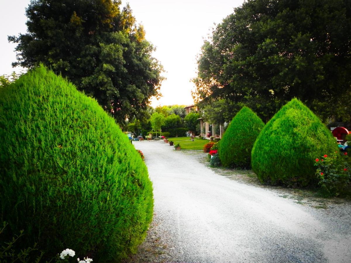 Agriturismo Il Cuscino Nel Pagliaio Кампилия Маритима Екстериор снимка