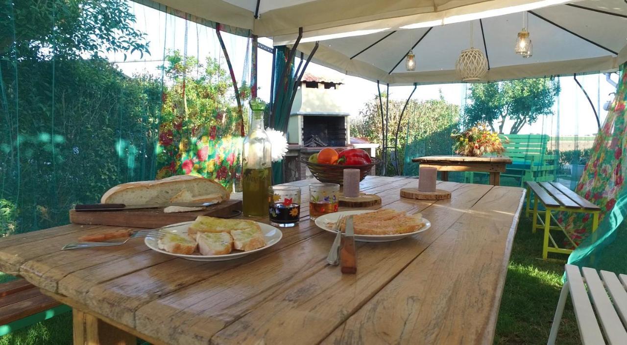 Agriturismo Il Cuscino Nel Pagliaio Кампилия Маритима Екстериор снимка